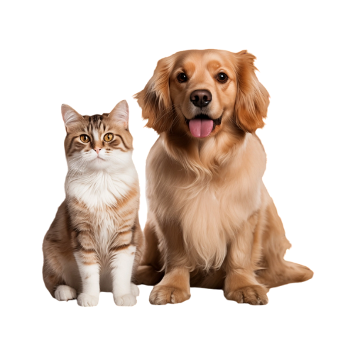 Pet Adoption & Supplies icon
