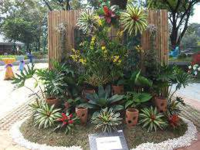 Thai orchids & land scaping 