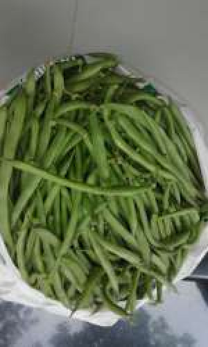 Beans For Sale