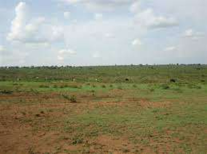 Plot for lease