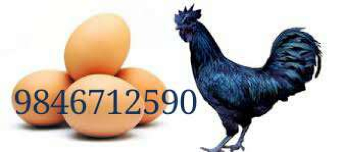 Karinkozhi egg