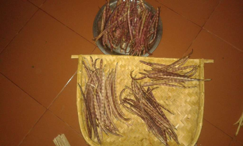 PANNITHANDAN PAYAR
