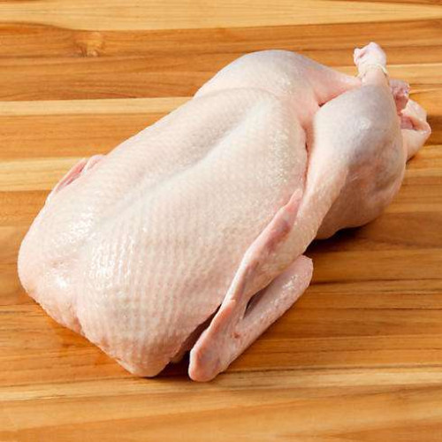 Broiler duck