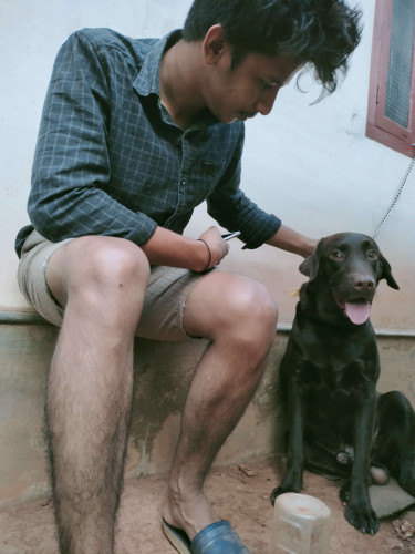 Lab balck