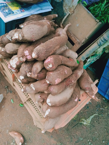 Tapioca for sale