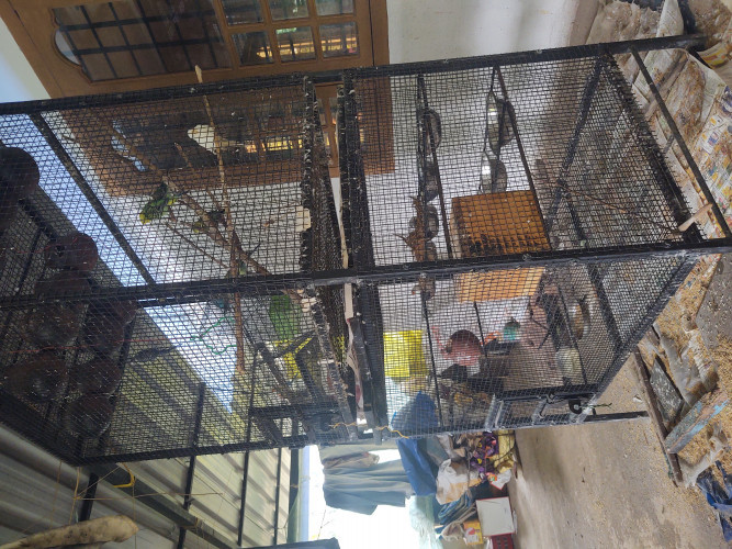 Cage
