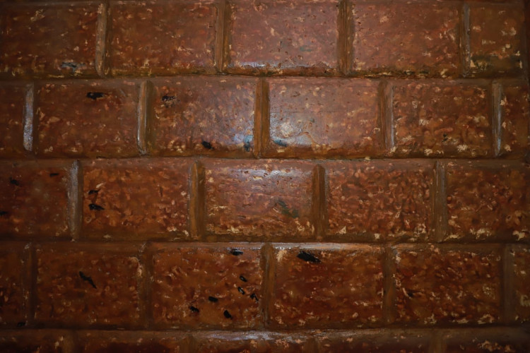 Brick Polishing Work in Vayattuparamba, Kannur