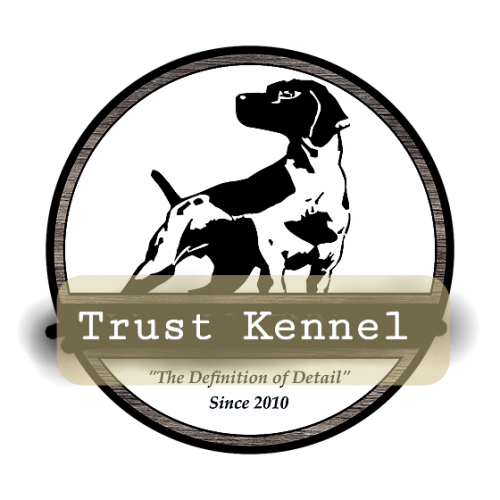 Trust Kennel Beagle Puppies Available Here Delhi