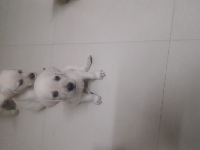 For sale