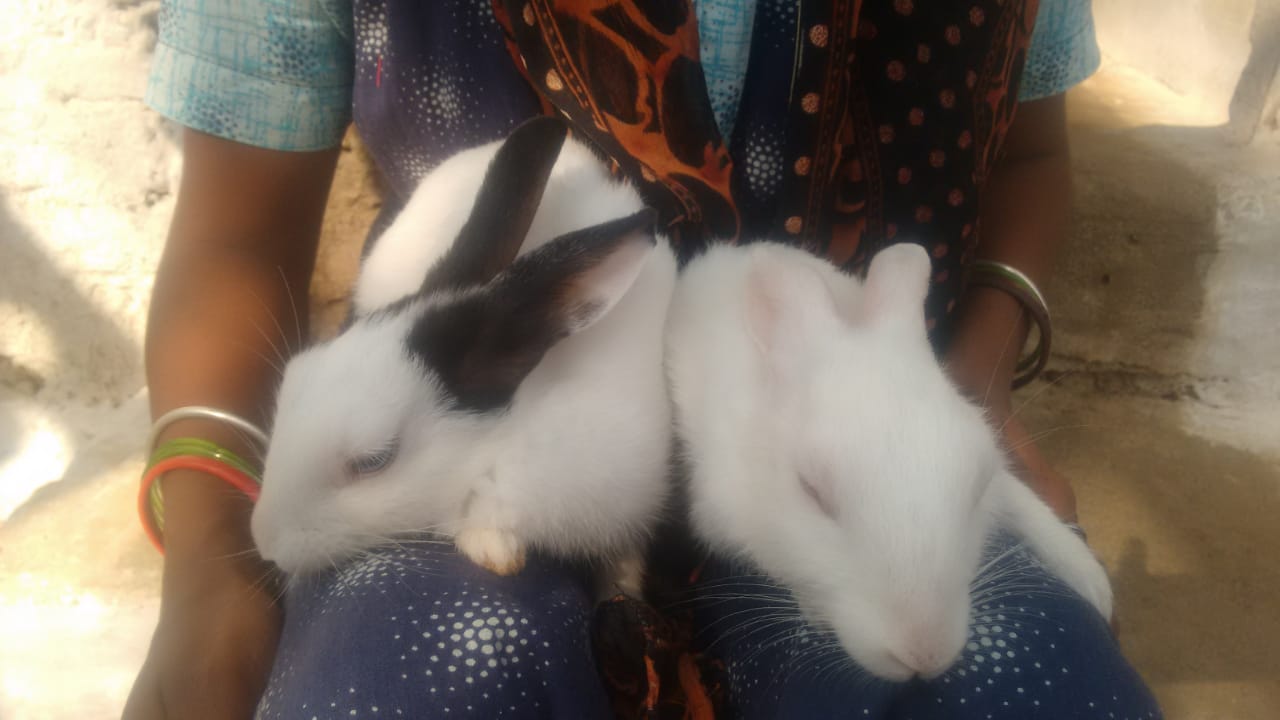 Vegetarian Family