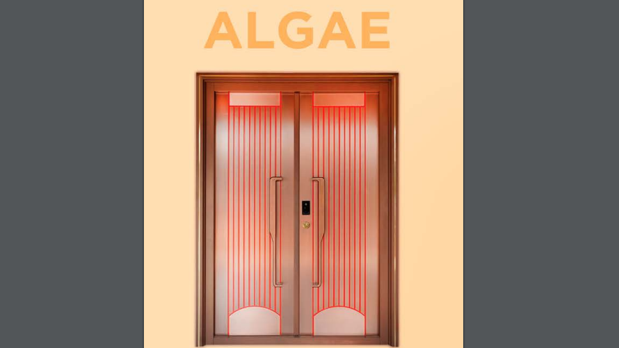 Steel Door