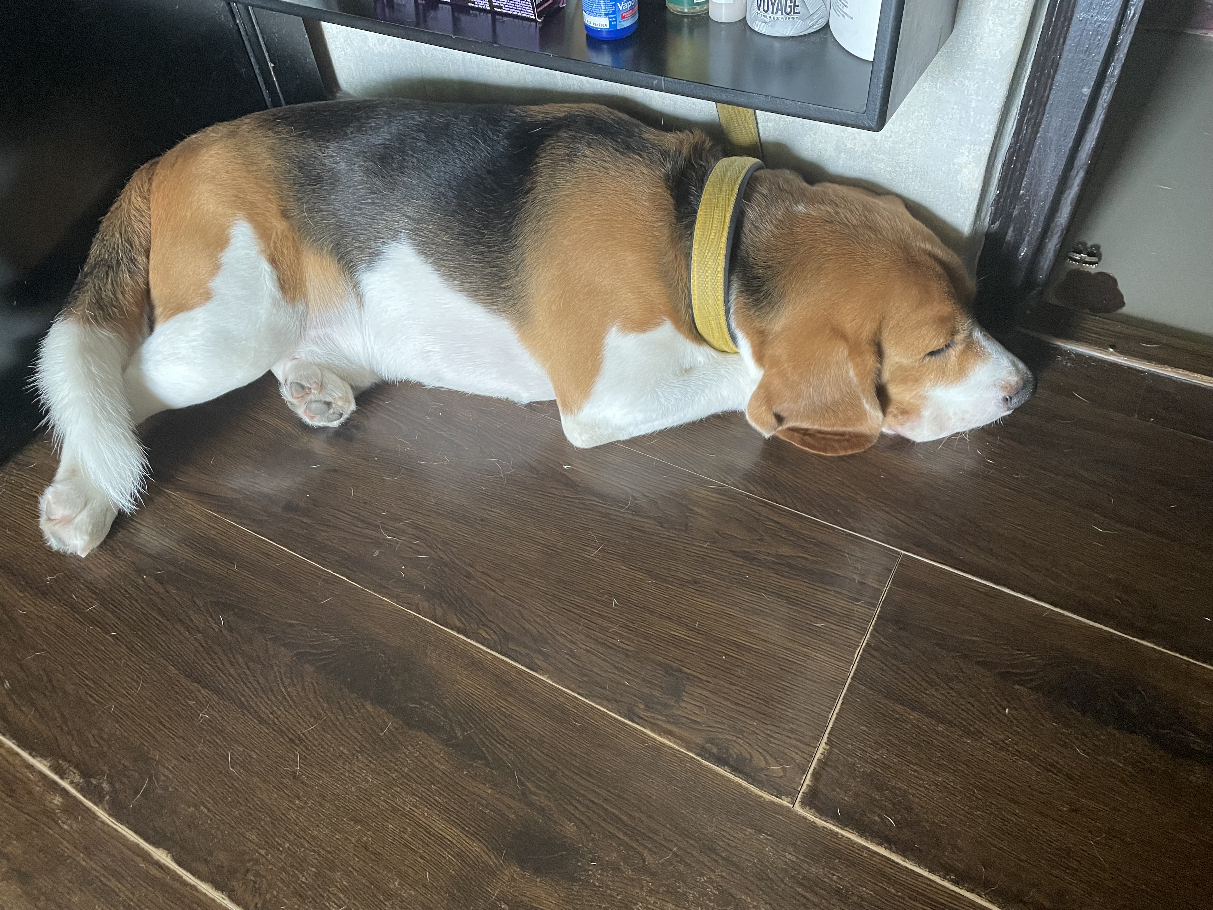 Oliver