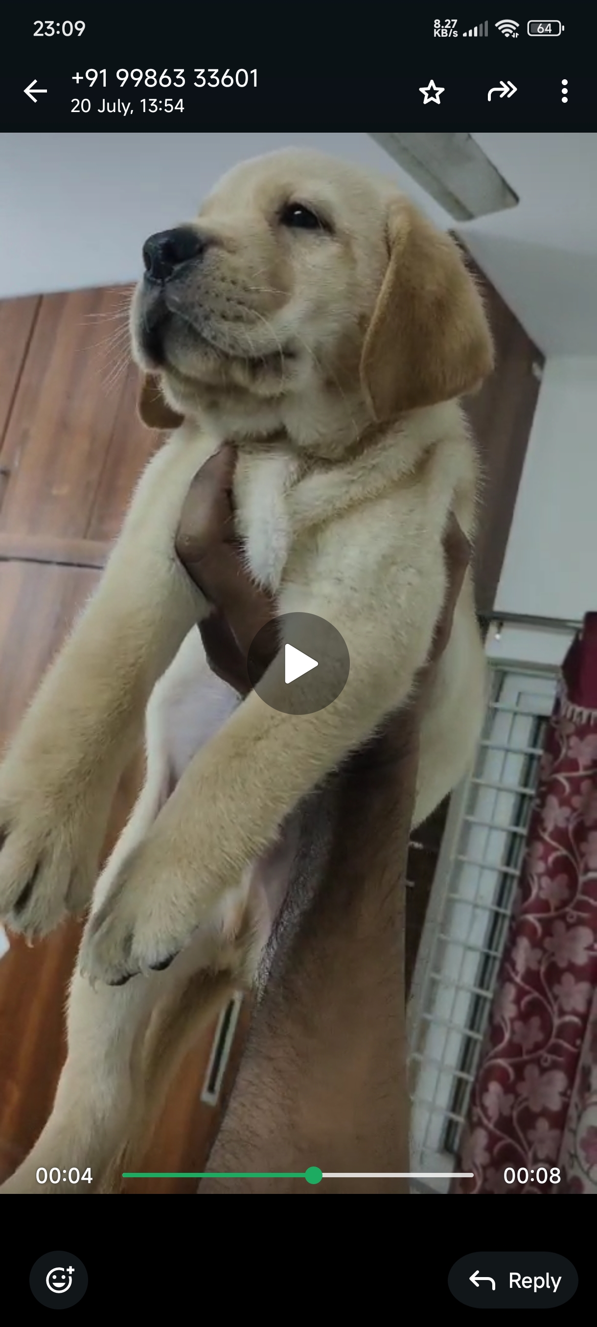 Make puppy lab