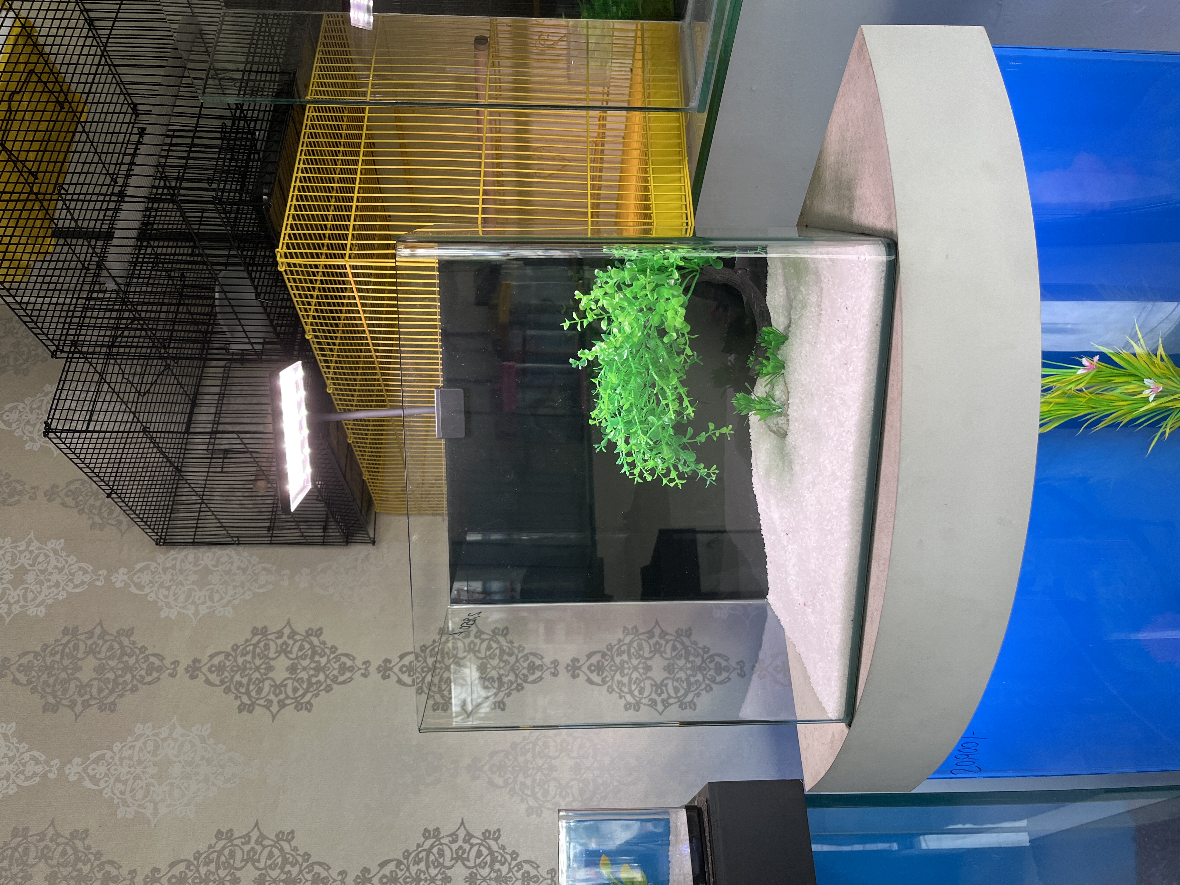 Aquarium