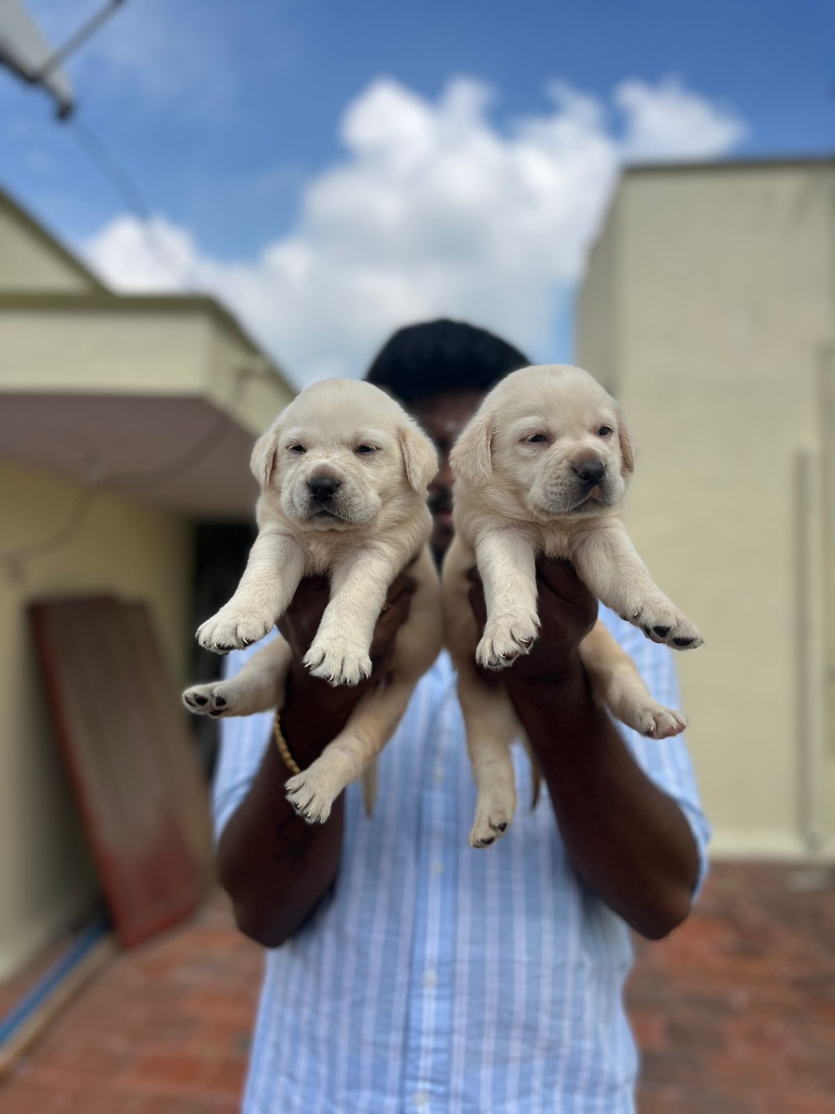 Lab