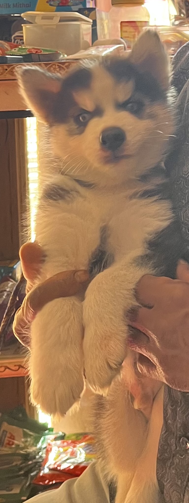 Hysky