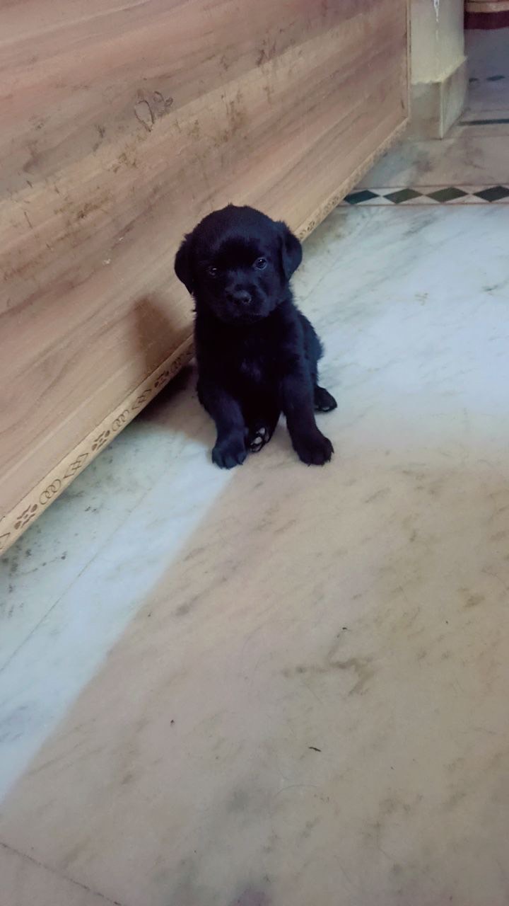Labra