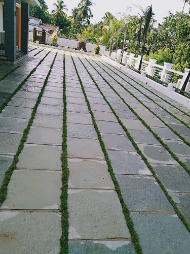 Artificial Grass Suppliers in Kannur-Kerala