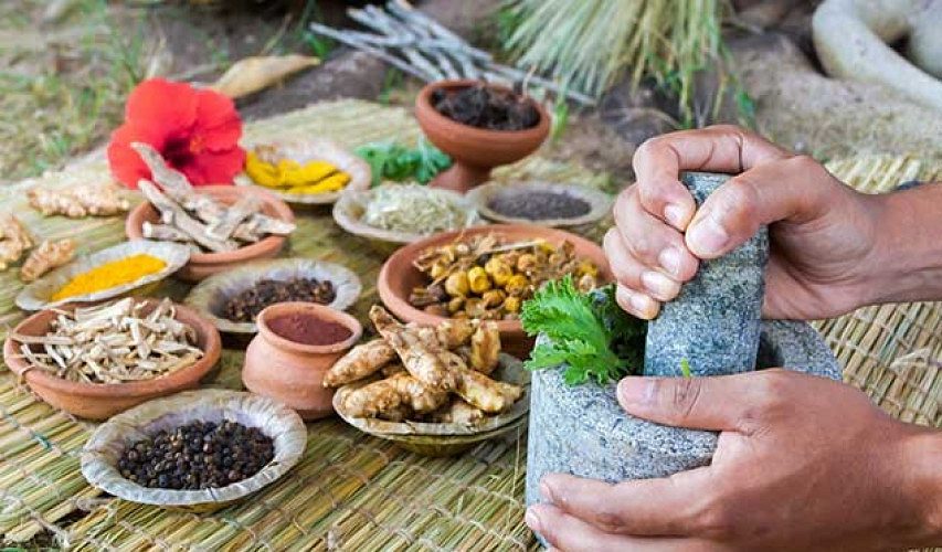 Ayurveda Treatment Center for Weight Loss(Obesity)- Kannur, Kerala