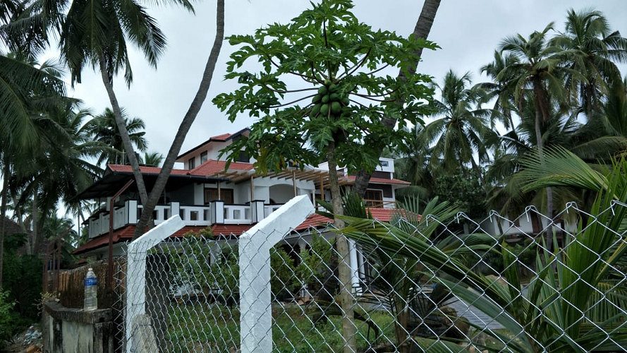 Fencing Wire Dealers in Taliparamba, Kannur
