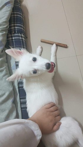 Selling at cheap price