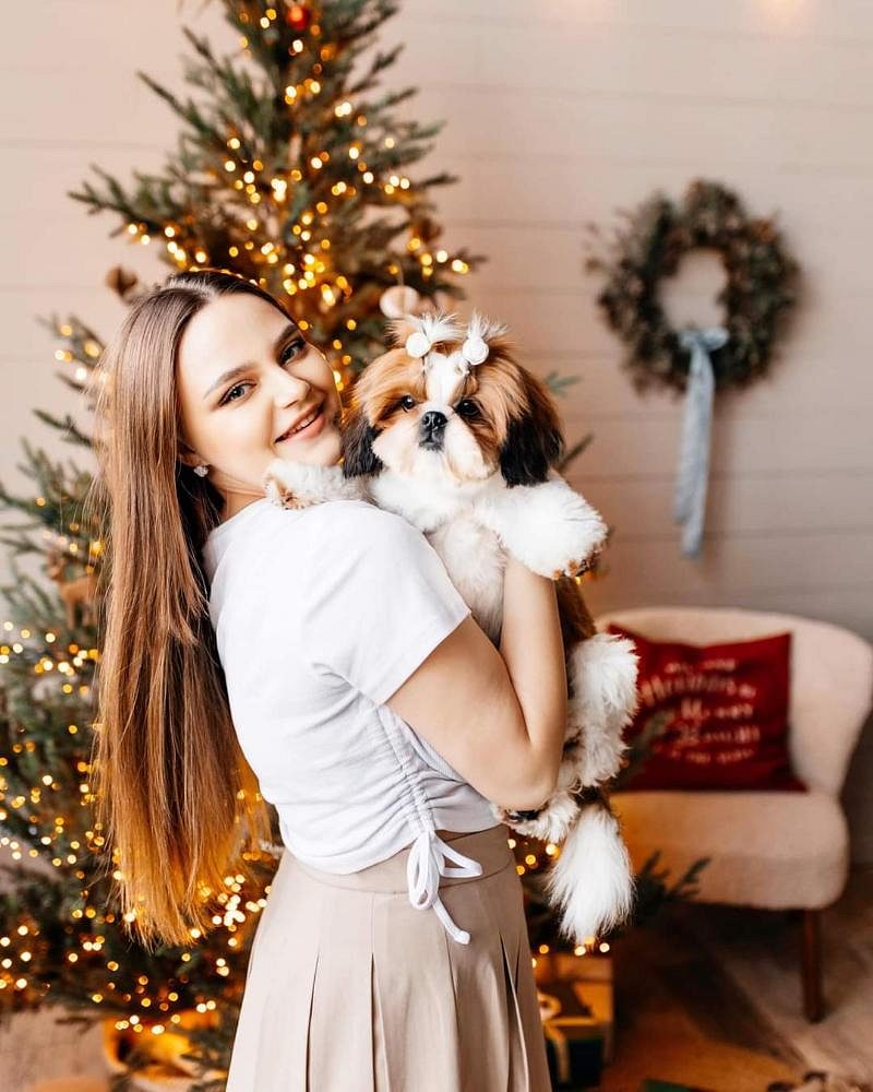 Shih Tzu puppies price