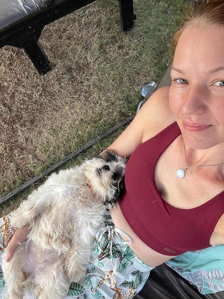 Shih Tzu puppies for sale