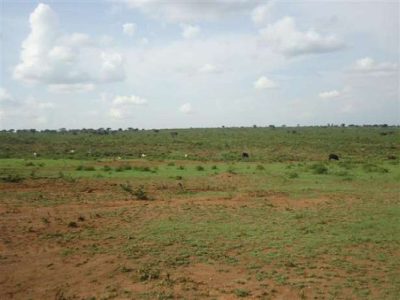Lease Land For Farm Tourism/ Farming