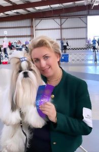 Shih Tzu puppies for sale