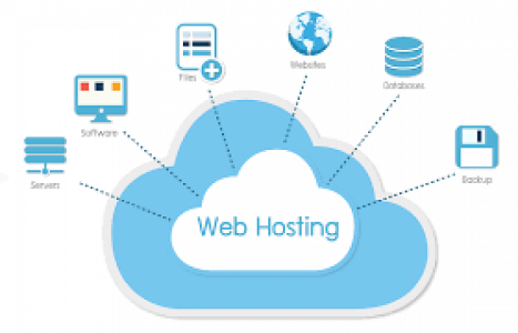 Best Web Hosting Services in Kanhangad, Kasaragod